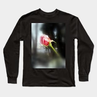 rosebud in the snow 2 Long Sleeve T-Shirt